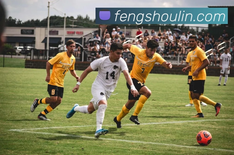 多媒体互动体验