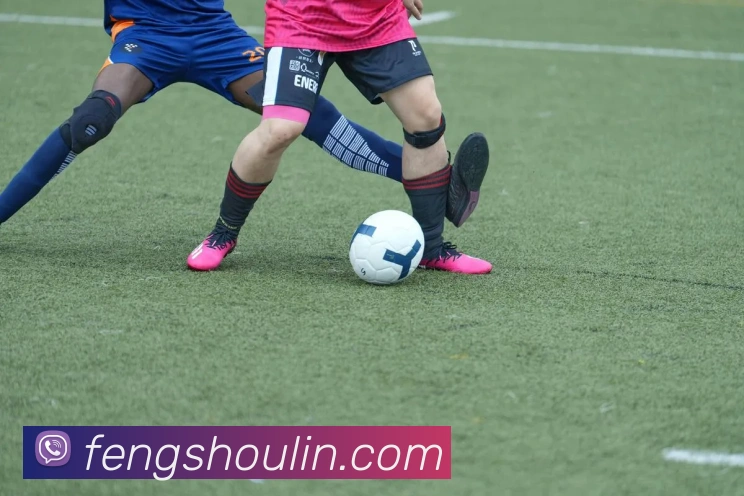 米兰官网注册入口APP 高清赛事图